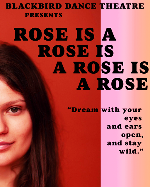 Rose is a Rose is a Rose is a Rose poster artwork