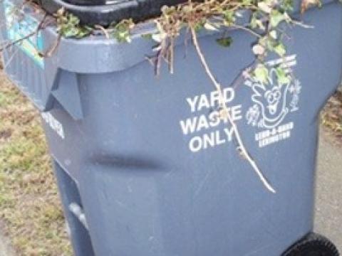 Yard waste container