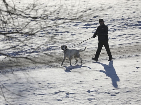 Man walking his dog in the snow. 