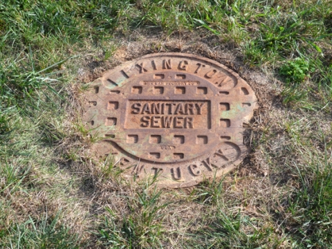 Sewer root control work