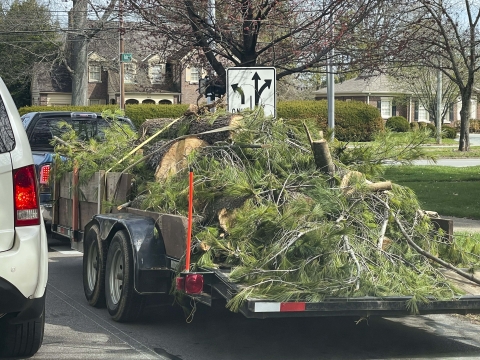 pickup truck with a trailer attached hauling tree limbs down the road 