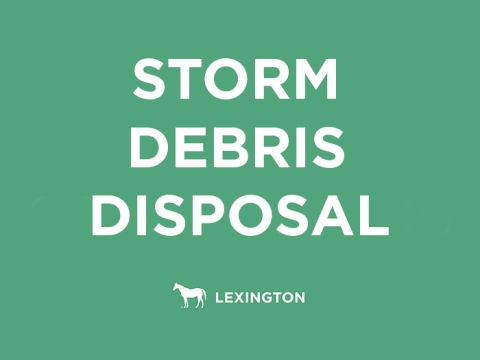 Storm debris disposal