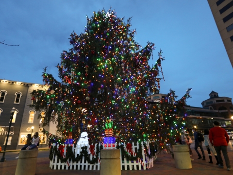 large Christmas tree in in downtown Lexington park