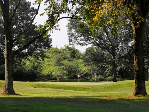 Three golfers playing on a golf course in Lexington