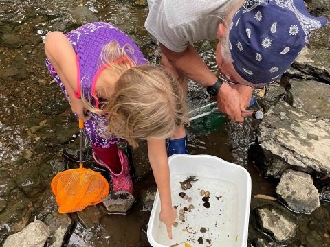 an adult and a child standing in a creek looking at macroinvertebrates 