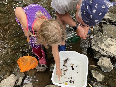 A small child and an adult standing in a creek, looking at small creek bugs in a bucket. The child is pointing at a bug.
