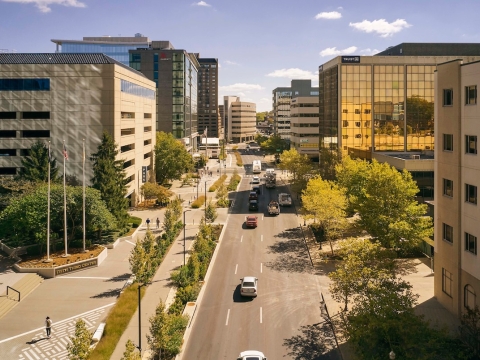 an aerial view of Vine Street on a sunny day