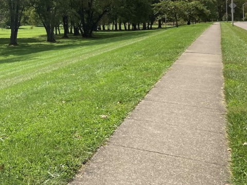 a sidewalk next to grass on a sunny day